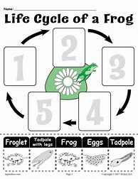 Image result for A Lazy Frog Worksheet