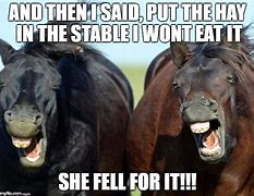 Image result for Finish with the Horse Memes