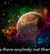 Image result for Anybody Out There Meme