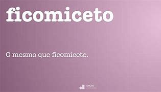 Image result for ficeicomiso