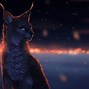 Image result for Space Cat Wallpaper Simple Cartoon