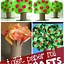 Image result for 2 Year Old Craft Ideas