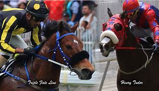 Image result for Horse Triple Fate Line
