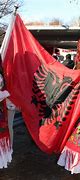 Image result for Albanian American Culture