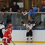 Image result for Pro Hockey