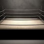 Image result for Boxing Arena