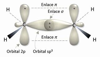 Image result for endoble