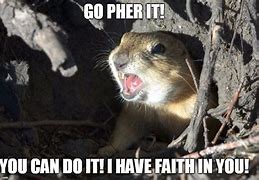 Image result for Gopher Everything Is Fine Meme