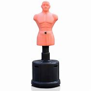 Image result for Punching Dummy