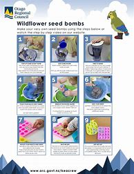 Image result for Seed Bomb Instructions Printable
