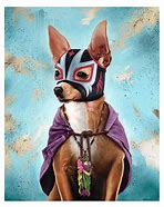 Image result for Luchador Costume