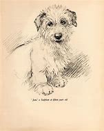 Image result for Antique Dog Prints