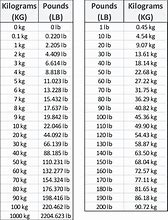 Image result for 100 Lb Scale