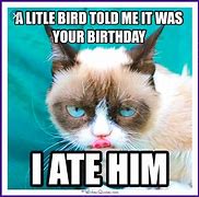 Image result for Happy Birthday Angry Cat Meme