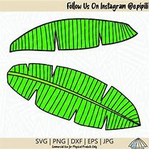 Image result for Banana Leaf SVG