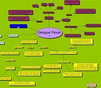 Image result for Dengue Concept Map