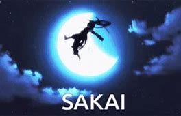 Image result for Sakai Blade