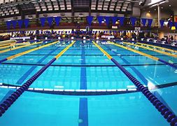 Image result for Swimming Pool