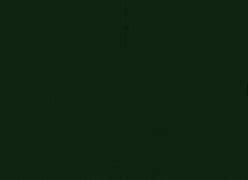 Image result for 4K iPhone Dark Green Wallpaper