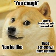 Image result for Asthma Cat Meme
