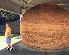 Image result for World's Largest Ball of String