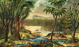 Image result for 5 Million Years Ago