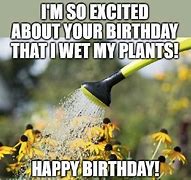 Image result for Happy Birthday Garden Meme