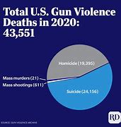 Image result for Gun Violence