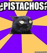 Image result for Pistachio Cat Meme