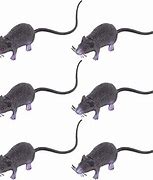 Image result for Fake Rats That Look Real