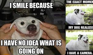 Image result for Smiling Baby and Dog Meme