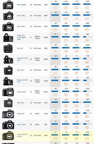 Image result for Nikon vs Canon Chart
