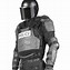 Image result for Swat Armour
