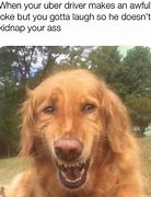 Image result for Dogs Meme Funny and Inappropriate