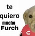 Image result for Memes Liga MX