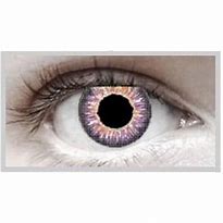 Image result for Natural Looking Violet Contact Lenses