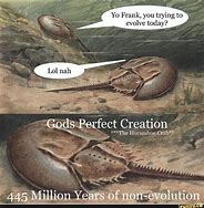 Image result for God Creation Memes