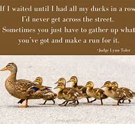 Image result for Ducks in a Row Quotes