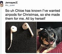 Image result for cats with wire airpods memes