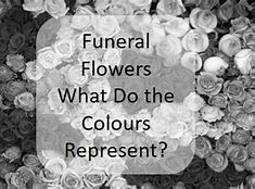 Image result for Funeral Flower Color Meanings