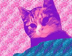 Image result for Trippy Cat Background