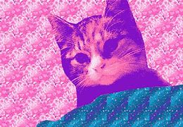 Image result for Trippy Sylvester Cat