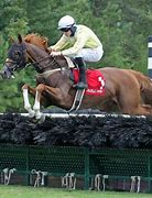 Image result for Steeplechase Racing