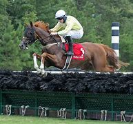 Image result for Steeplechase Course