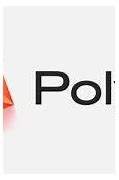 Image result for Poly International Logo