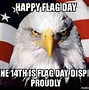 Image result for Flag Day Meme