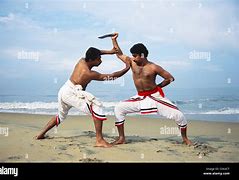 Image result for india fighting art