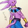 Image result for Dragon Ball Z Lord Beerus