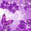 Image result for Windows 1.0 Purple Phone Wallpaper