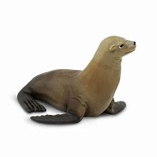 Image result for Ty Sea Lion Toy